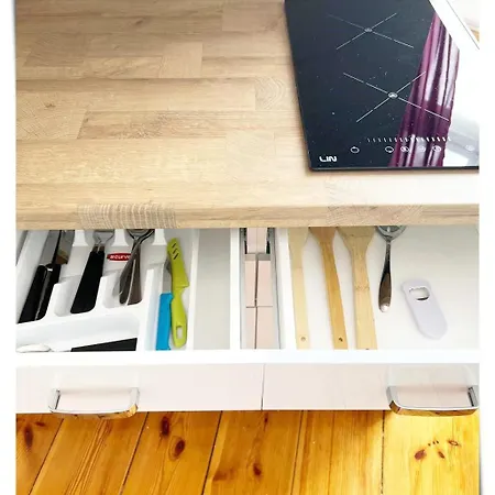 Souvenirappart Sniadeckich 45m3 *