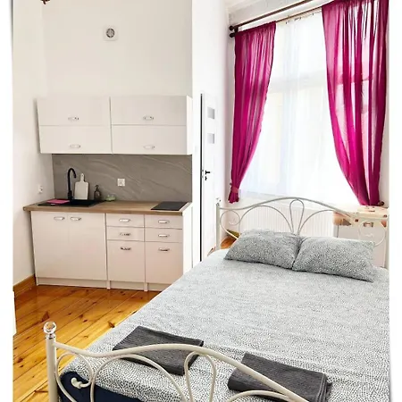 アパート Souvenirappart Sniadeckich 45m3 *