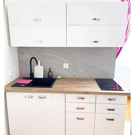 Souvenirappart Sniadeckich 45m3 アパート