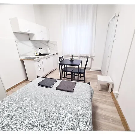 Souvenirappart Sniadeckich 45m3 * ビィドゴシュチュ