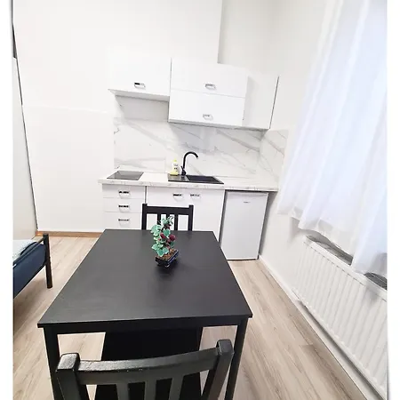 アパート Souvenirappart Sniadeckich 45m3 ビィドゴシュチュ