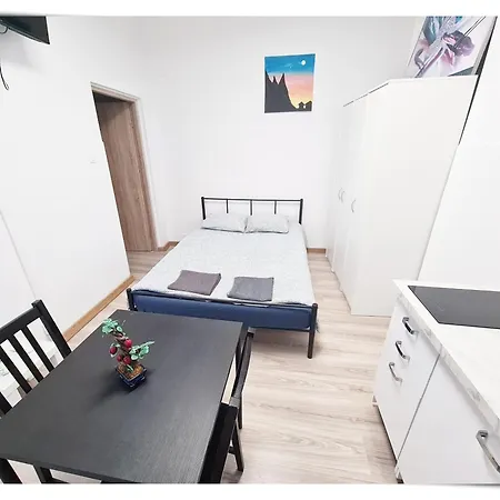 Souvenirappart Sniadeckich 45m3 ビィドゴシュチュ