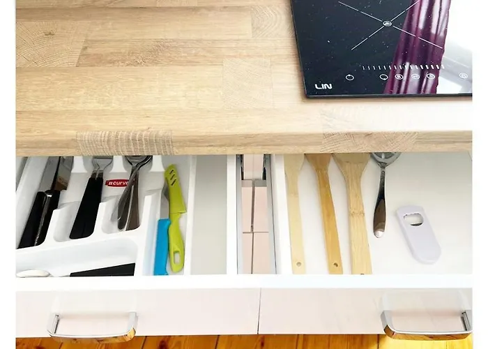 Souvenirappart Sniadeckich 45m3 *