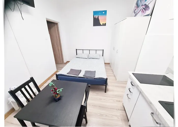 Souvenirappart Sniadeckich 45m3 Бидгощ